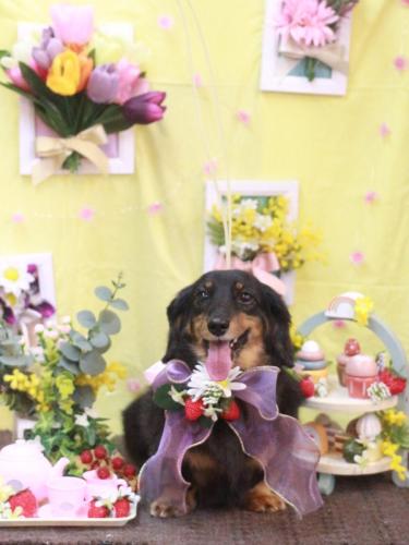 20230316モカちゃん